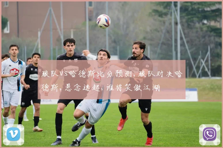 狼队vs哈德斯比分预测,狼队对决哈德斯,悬念迭起,谁将笑傲江湖