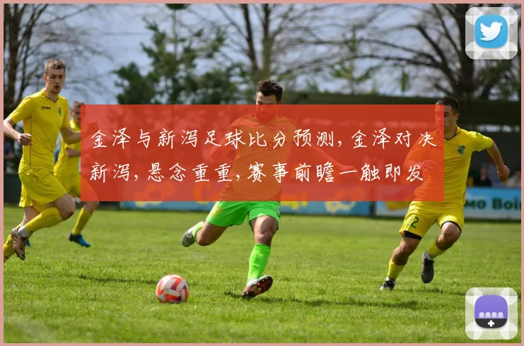 金泽与新泻足球比分预测,金泽对决新泻,悬念重重,赛事前瞻一触即发
