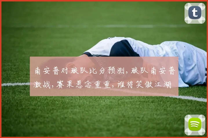 南安普对狼队比分预测,狼队南安普激战,赛果悬念重重,谁将笑傲江湖