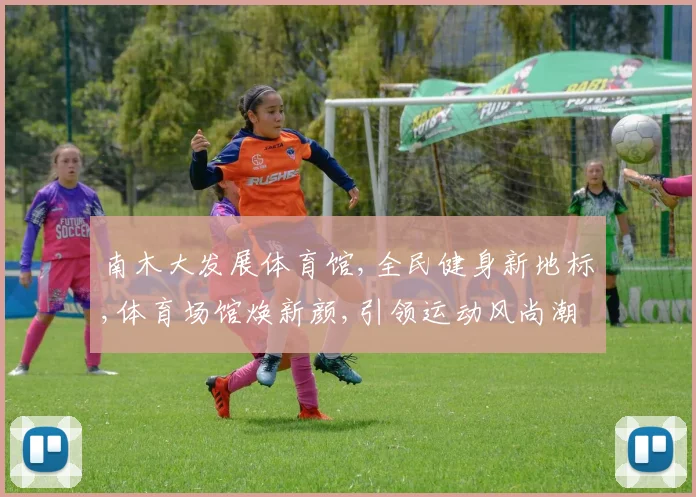 南木大发展体育馆,全民健身新地标,体育场馆焕新颜,引领运动风尚潮流